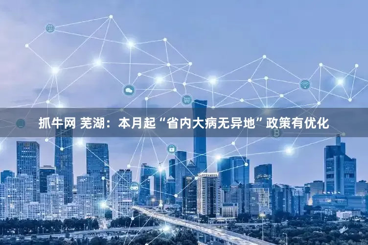 抓牛网 芜湖：本月起“省内大病无异地”政策有优化