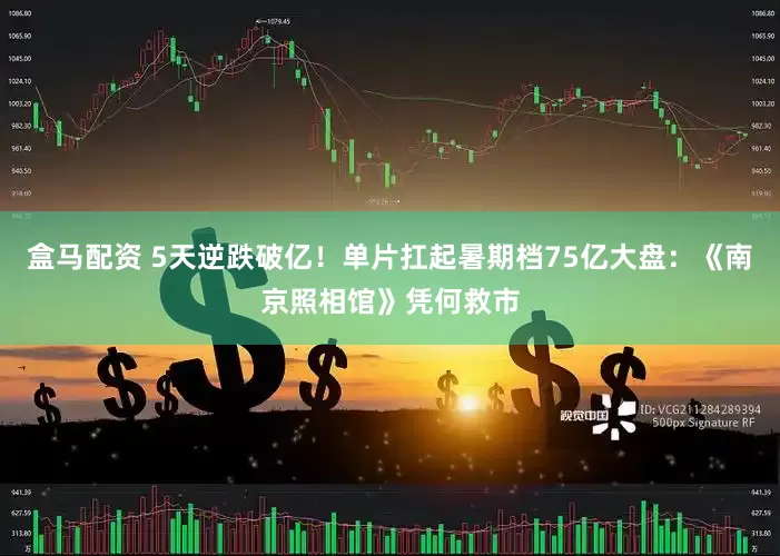 盒马配资 5天逆跌破亿！单片扛起暑期档75亿大盘：《南京照相馆》凭何救市